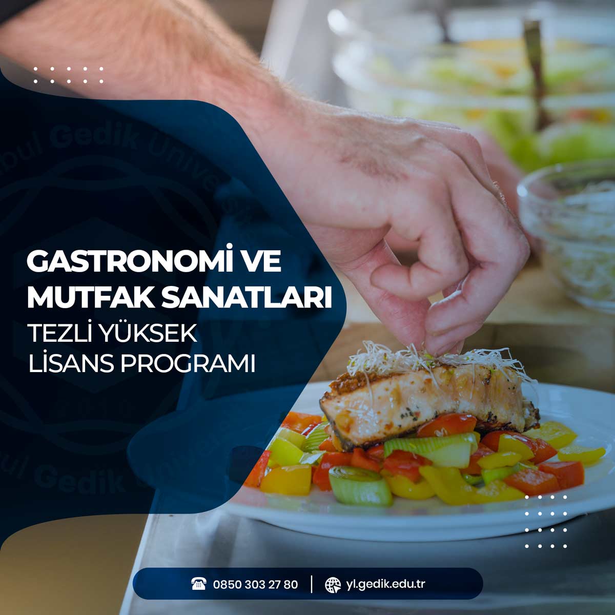 Gastronomi ve Mutfak Sanatları Tezli Yüksek Lisans Programı